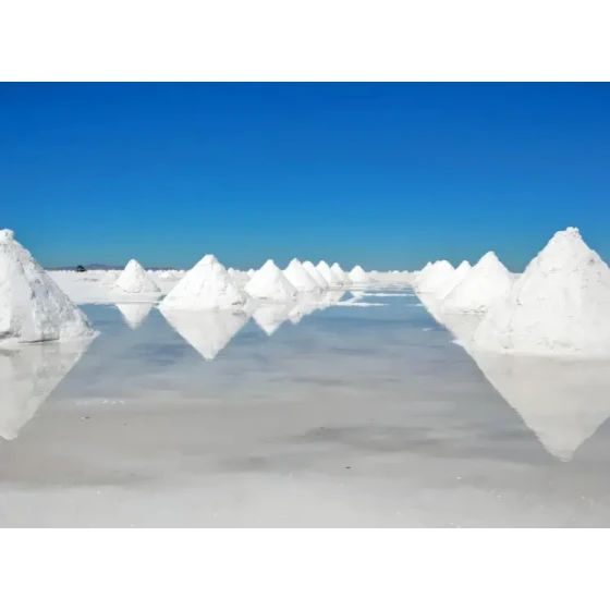 Lithiumextraktion durch Flotation aus Salzsole-Ressourcen