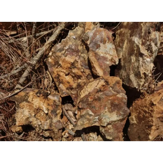 Verarbeitungstest von oxidiertem Golderz