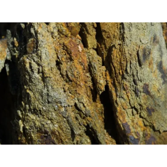 Goldgewinnungsversuch durch Cyanidlaugung