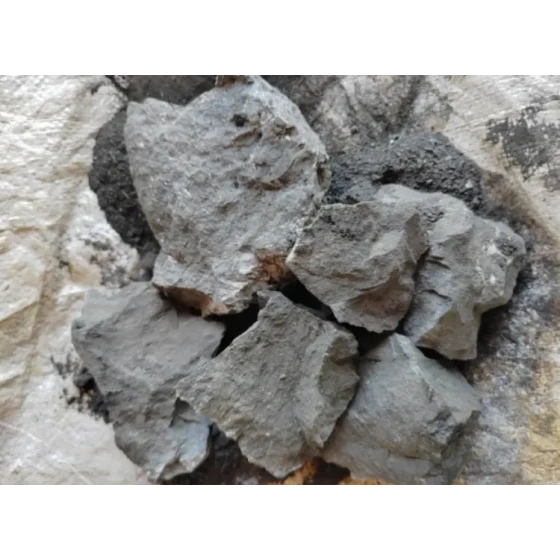 Mineralaufbereitungstest von hochschwefelhaltigem Golderz