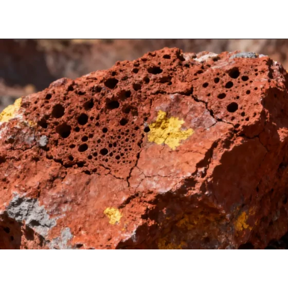 Integrierte Mineralienaufbereitung - Metallurgietest von lateritischem Nickelerz