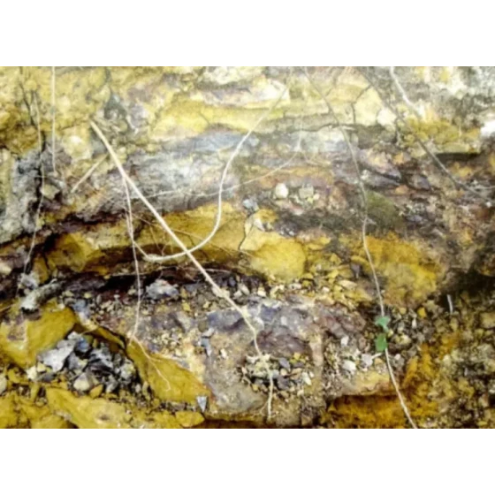 Test des Auslaugungsprozesses für refraktäre assoziierte Erze