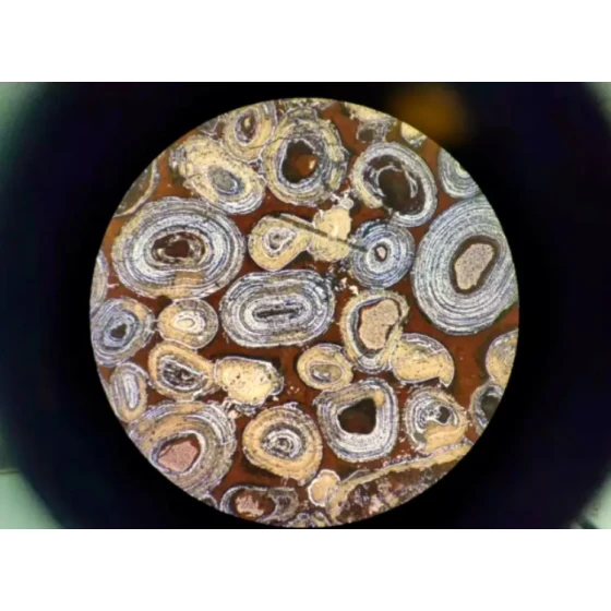 Prüfung der Entphosphorung und Entkieselung von oolithischem Hämatit