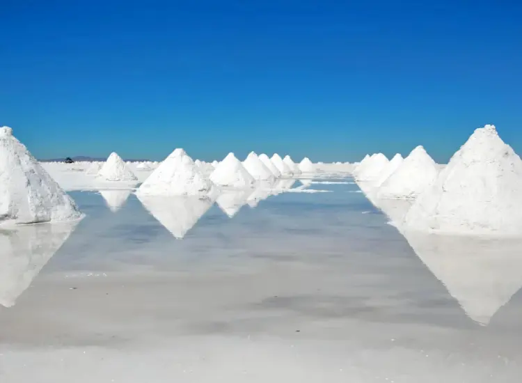 Lithiumextraktion durch Flotation aus Salzsole-Ressourcen