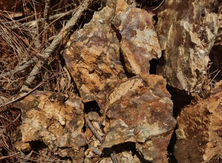 Verarbeitungstest von oxidiertem Golderz