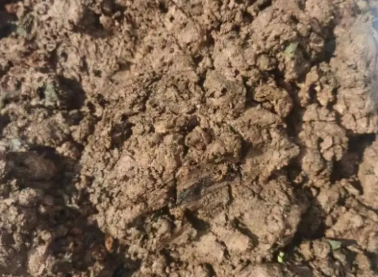 Veredelungstest von Metalloxid-Erzschlämmen