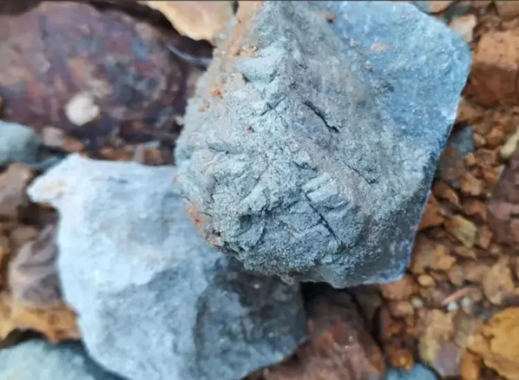 Test zur Rückgewinnung von hochschwefelhaltigen Gold-Tailings