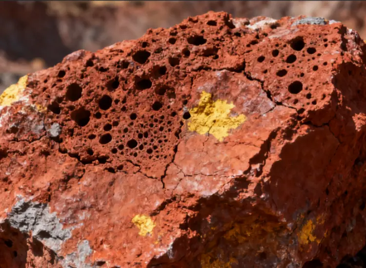 Integrierte Mineralienaufbereitung - Metallurgietest von lateritischem Nickelerz