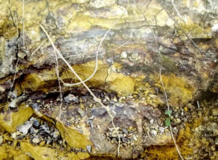 Test des Auslaugungsprozesses für refraktäre assoziierte Erze