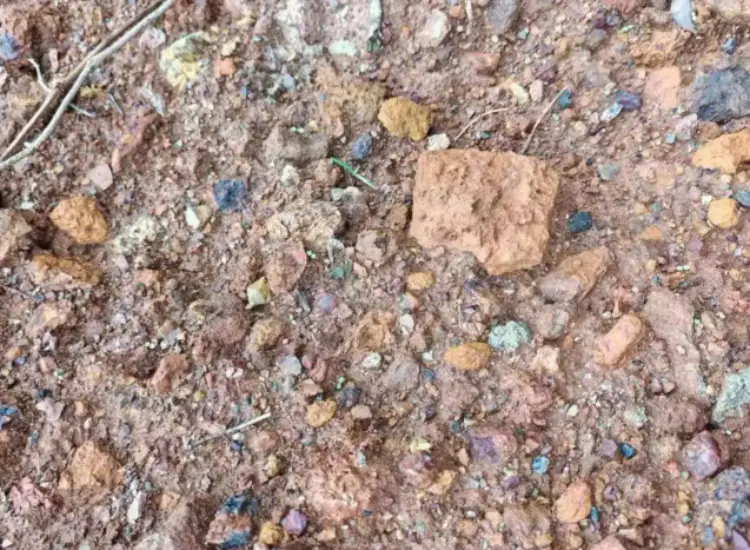 Mineralaufbereitungstest von Blei-Zink-Oxid-Erz