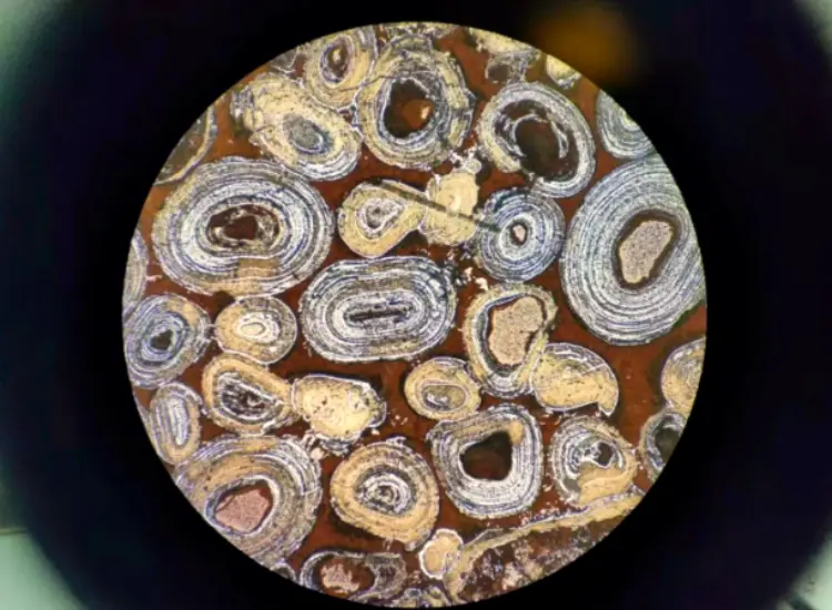 Prüfung der Entphosphorung und Entkieselung von oolithischem Hämatit